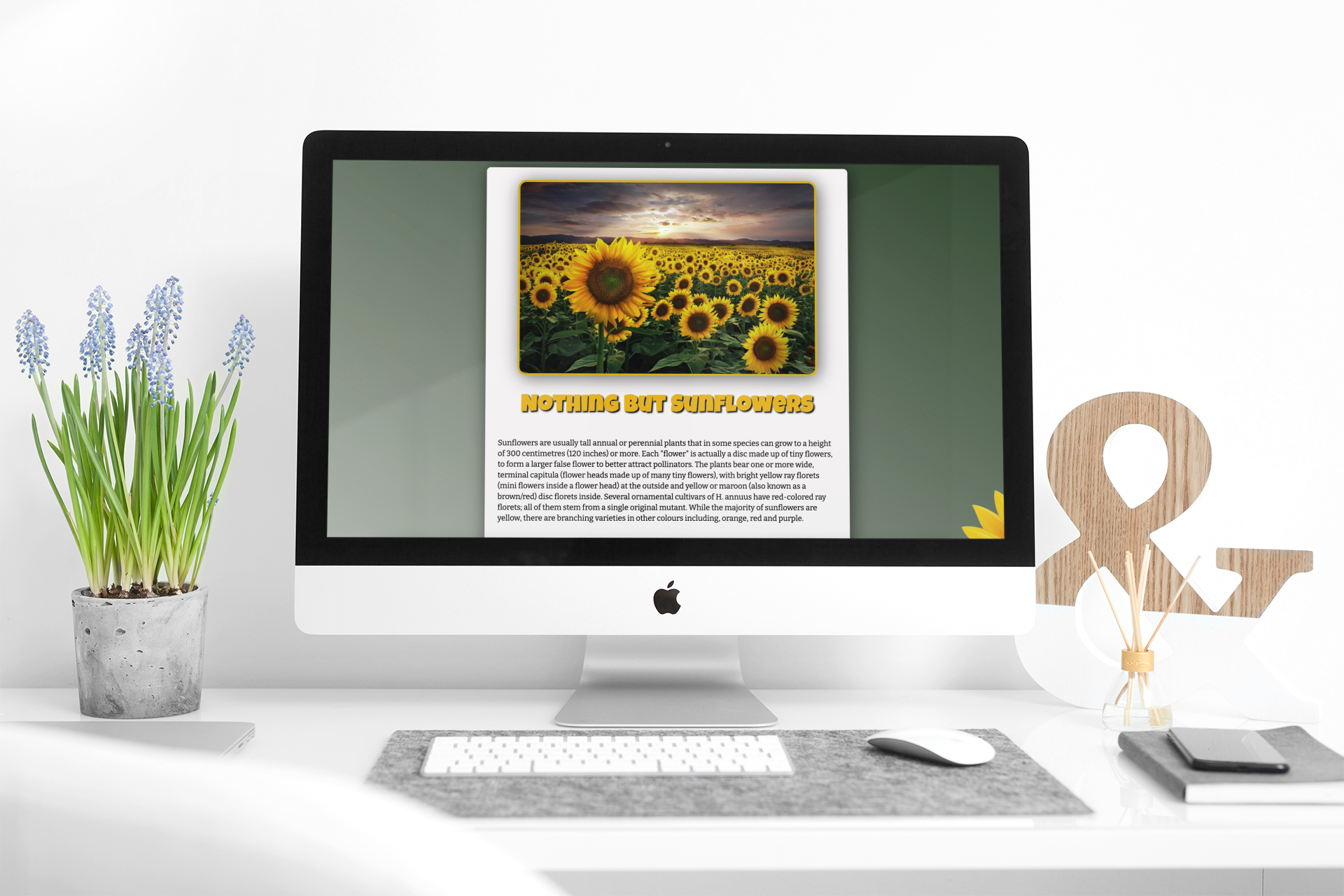 sunflower app on a computer mockup